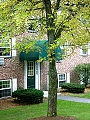 pine hill gardens look