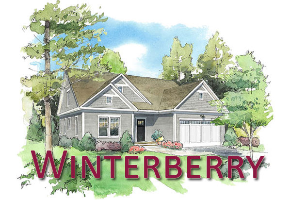 Winterberry - Redbrook in Plymouth MA